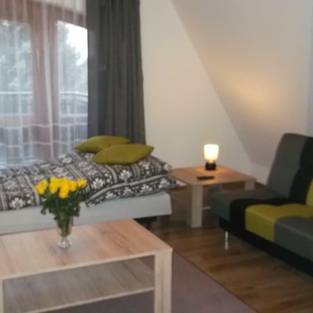 Apartamenty Lejowka Chocholow Ngoại thất bức ảnh